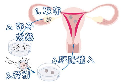 实验室1
